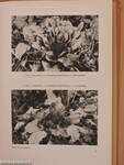 Nemesített növényfajtákkal végzett országos fajtakísérletek eredményei 1958