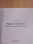 Algues marines