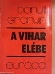 A vihar elébe