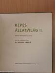 Képes állatvilág II.