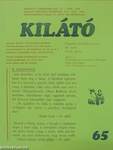 Kilátó 2006. április