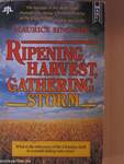 Ripening Harvest, Gathering Storm