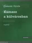 Kamasz a külvárosban