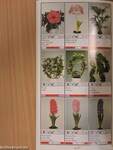 Potplanten/Pot Plants/Topfpflanzen/Plantes en pot/Piante da vaso/Planta en particular 1991/92