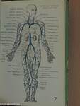 Blakiston's illustrated pocket medical dictionary