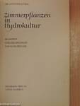 Zimmerpflanzen in Hydrokultur