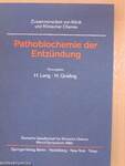 Pathobiochemie der Entzündung