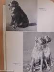 Enciclopedia Canina