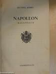 Napoleon magánélete