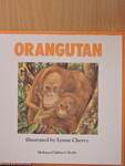 Orangutan