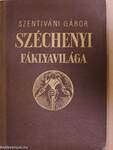 Széchenyi fáklyavilága