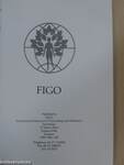 Recommendations on Ethical Issues in Obstetrics and Gynecology by the Figo Committee for the Study of Ethical Aspects of Human Reproduction July 1997