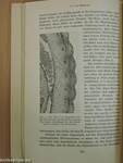 Dolgozatok a budapesti kir. m. Pázmány Péter-Tudományegyetem Anatomiai és a szegedi m. kir. Ferencz József-Tudományegyetem Anatomiai és Szövettani Intézetéből VII.
