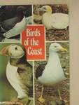 Birds of the Coast