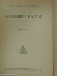 Novemberi hajnal