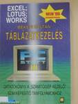 Táblázatkezelés. Excel, Lotus, Works /Win '95/