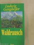 Waldrausch