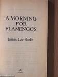 A morning for Flamingos