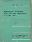 Morphological and Morphometrical Analysis of Circulation in Hypertension and Ischemic Kidney