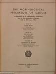 The Morphological Precursors of Cancer