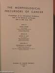 The Morphological Precursors of Cancer