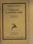 Voyage a Capillarie