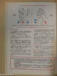 Grammaire Francaise Expliquée et enseignement méthodique de l'orthographe