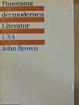 Panorama der modernen Literatur - USA