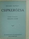 Csipkerózsa