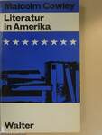 Literatur in Amerika