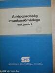 A népgazdaság munkaerőmérlege 1981. január 1.