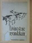 Livingstone nyomdokain