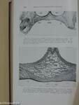 Histopathology of the Teeth and their Surrounding Structures