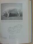 Az állattenyésztés törzskönyvezési évkönyvei 1970