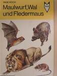 Maulwurf, Wal und Fledermaus