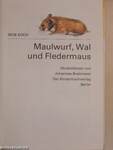 Maulwurf, Wal und Fledermaus