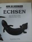 Echsen