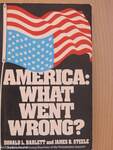 America: What went wrong?