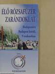 Élő rózsafüzér zarándoklat Budapest körül