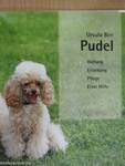 Pudel