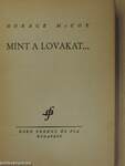 Mint a lovakat...