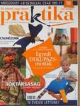 Praktika 2007. október