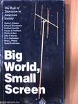 Big World, Small Screen