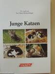 Junge Katzen