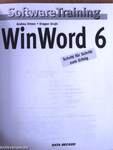 WinWord 6 - Floppy-val