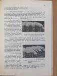 Vágóállat és hústermelés 1978. január-december
