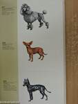 The Magna Illustrated Guide to Dogs of the World