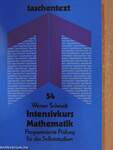 Intensivkurs Mathematik