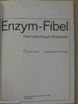 Enzym-Fibel