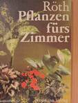 Pflanzen fürs Zimmer